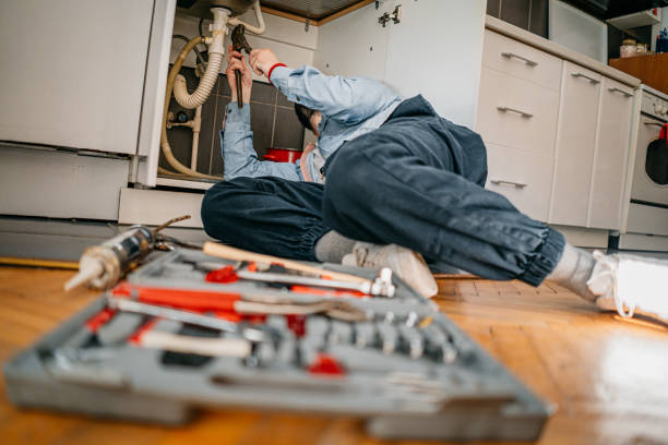Best Water Softener Installation  in Lake St Croix Beach, MN