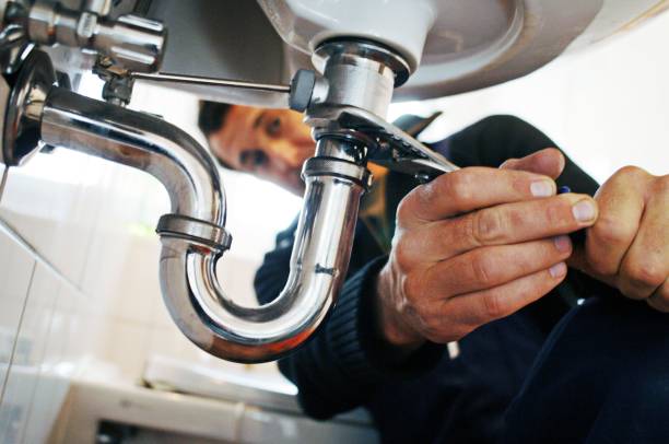 Best Plumbing Inspection Services  in Lake St Croix Beach, MN
