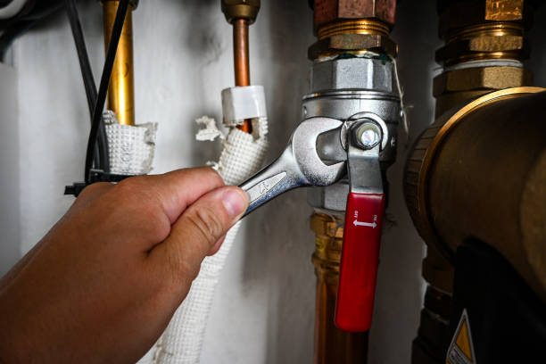 Best Plumbing Repair Near Me  in Lake St Croix Beach, MN